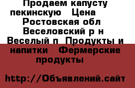 Продаем капусту пекинскую › Цена ­ 25 - Ростовская обл., Веселовский р-н, Веселый п. Продукты и напитки » Фермерские продукты   